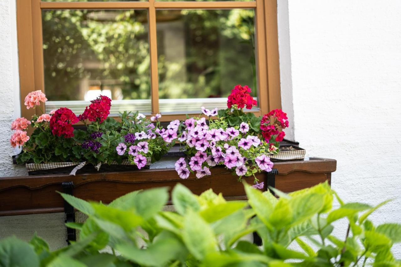 Apartment Salzburg City&Lake Elixhausen Zewnętrze zdjęcie